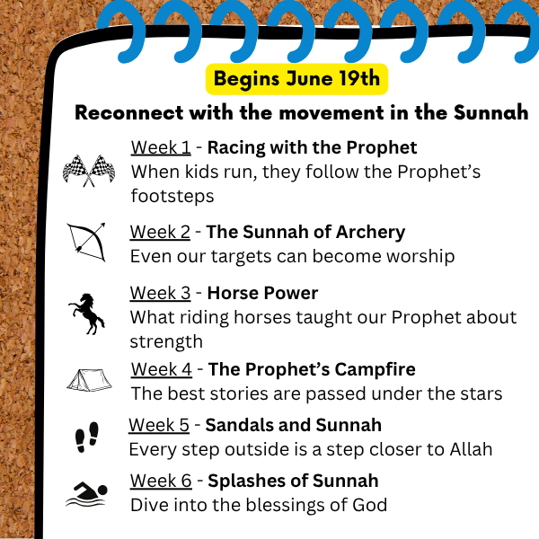 The Muslim Treehouse